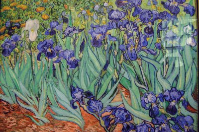 Irises - Getty Centre Los Angeles jigsaw puzzle