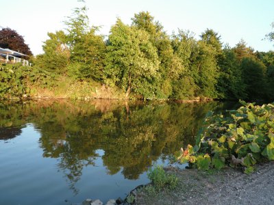 Lake jigsaw puzzle