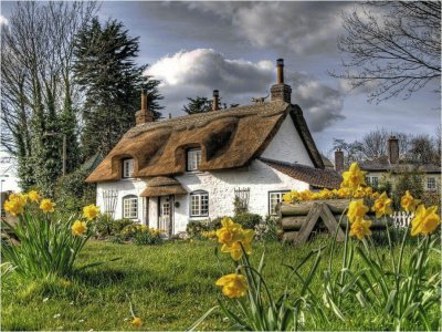 cottage