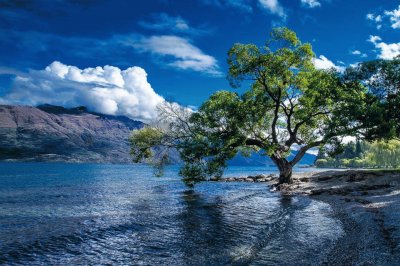 פאזל של lake wakatipu