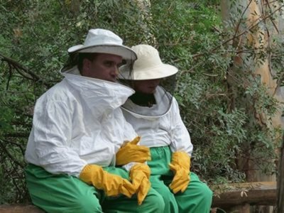 פאזל של Socorro abejas