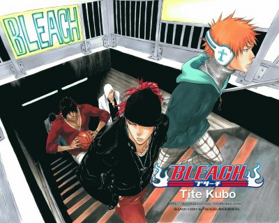 bleach jigsaw puzzle