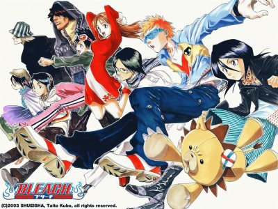 bleach jigsaw puzzle