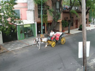 Cochero de Palermo