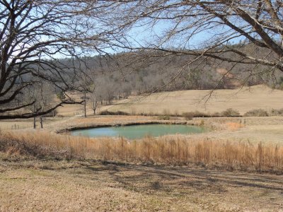 פאזל של Country Pond