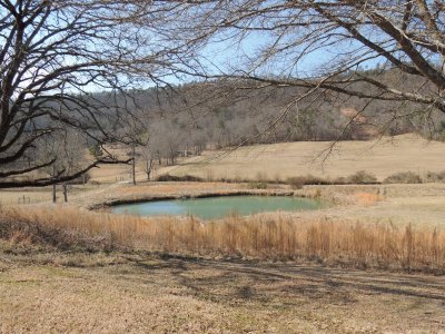 Country Pond