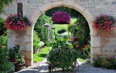 Garden  View