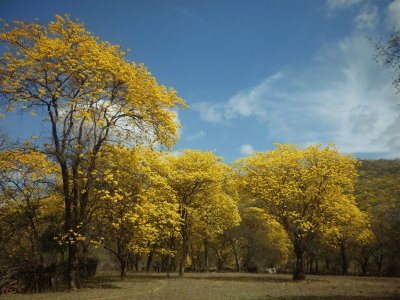 Mangahurco - Loja - Ecuador jigsaw puzzle