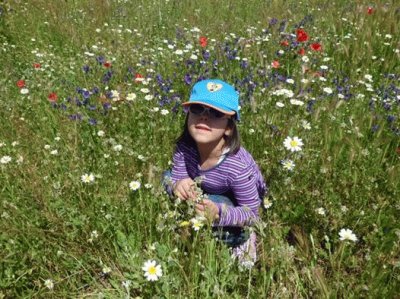 פאזל של Entre flores