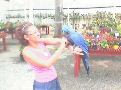 flouzinha