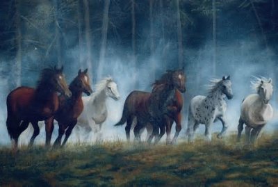 Caballos Salvajes jigsaw puzzle