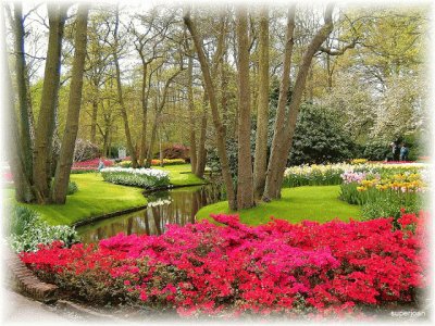 21 jardim
