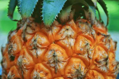 Pineapple Fruit