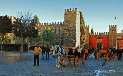 alcazar ex jigsaw puzzle