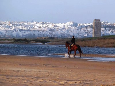 פאזל של conil,cadiz