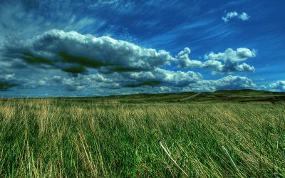 פאזל של Low in the Meadows