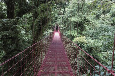 Monteverde Cloud Forest, Costa Rica jigsaw puzzle