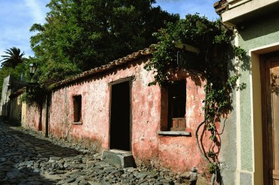 CASA ROSA