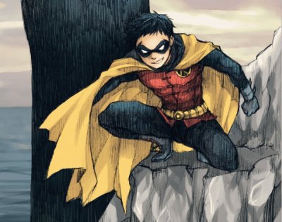 Robin jigsaw puzzle