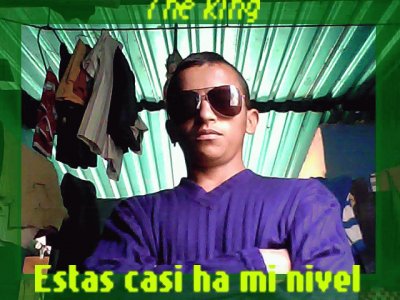 the kinn