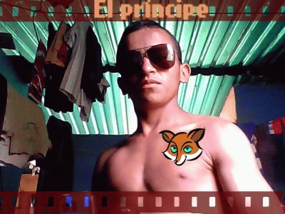 tigre veloz