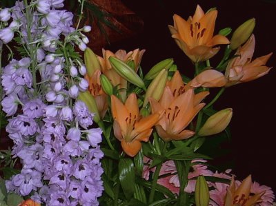 Flors