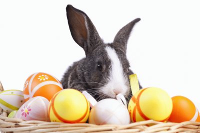 Conillet de Pascua