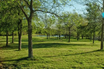 Texas Sky jigsaw puzzle