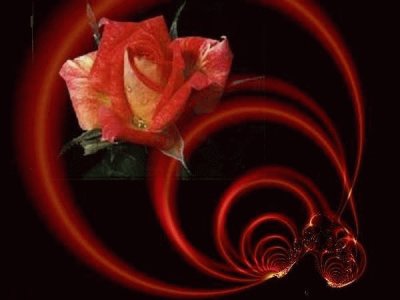 Rosa