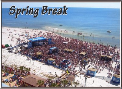 Spring Break-San Diego jigsaw puzzle