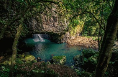 פאזל של Vida de la naturaleza