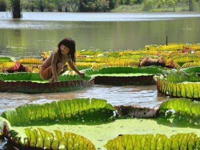 amazonia