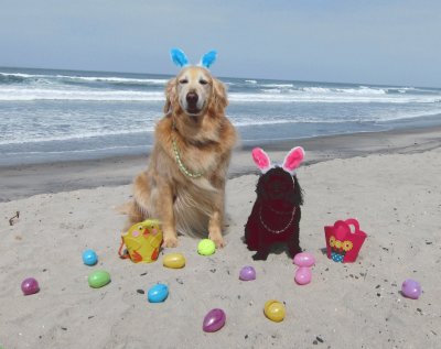 פאזל של Dogs Celebrate Easter on the Beach-San Diego