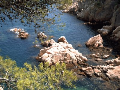 Sant Feliu-Costa Brava jigsaw puzzle