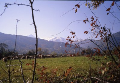 Autunno a Lusernetta