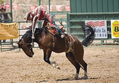 Rodeo Horse jigsaw puzzle