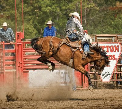 Rodeo Horse jigsaw puzzle