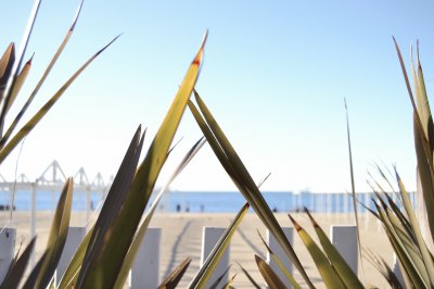 Mar del Plata en invierno