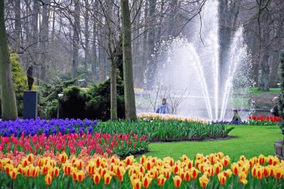 Parque Keukenhof (Holanda) jigsaw puzzle