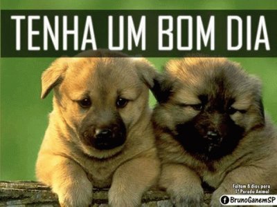 - 3- cachorrinho jigsaw puzzle