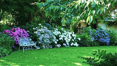 Hortensia House Garden-New Zealand jigsaw puzzle