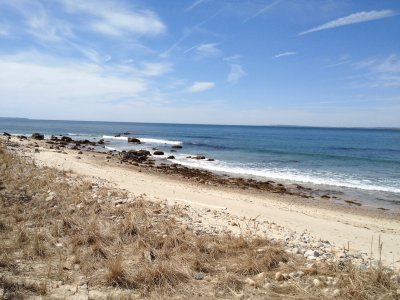 Martha 's Vineyard jigsaw puzzle