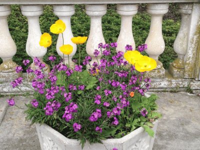 Spring flowers jigsaw puzzle