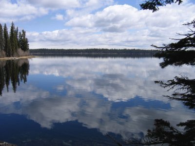 Jenny Lake Grand Teton National Park, USA jigsaw puzzle