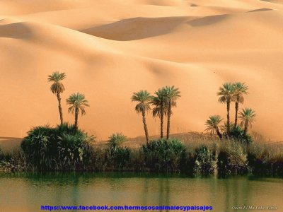 DESIERTO DE LIBIA jigsaw puzzle