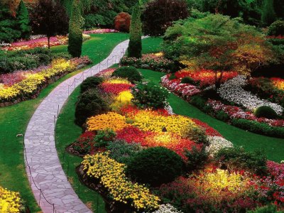 jardim