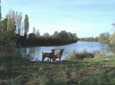 Bords du Loir