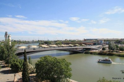 puente del cachorro