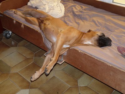 Grosse fatigue pour elle !
