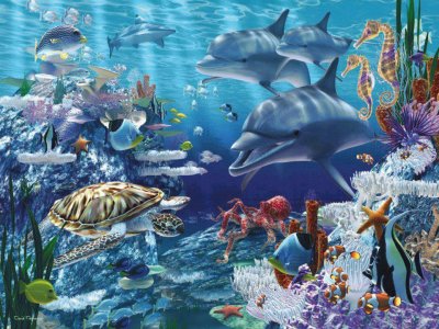 poissons jigsaw puzzle